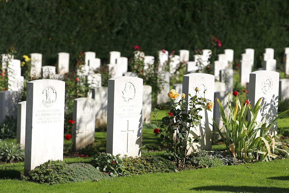 Gravestones, military cemetery, Cologne, North Rhine-Westphalia, Germany