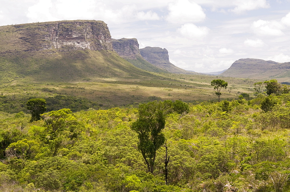 Parque Nacional da Chapada Diamantina, Chapada Diamantina National Park, flat-topped or mesa mountain landscape, Bahia, Brazil, South America