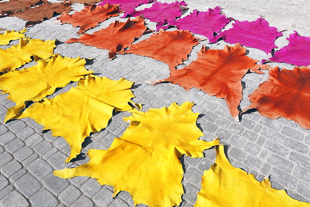 Tanned and dyed animal skins, spread out on the pavement for drying, historic Medina quarter, Marrakesh, Morocco, Africa