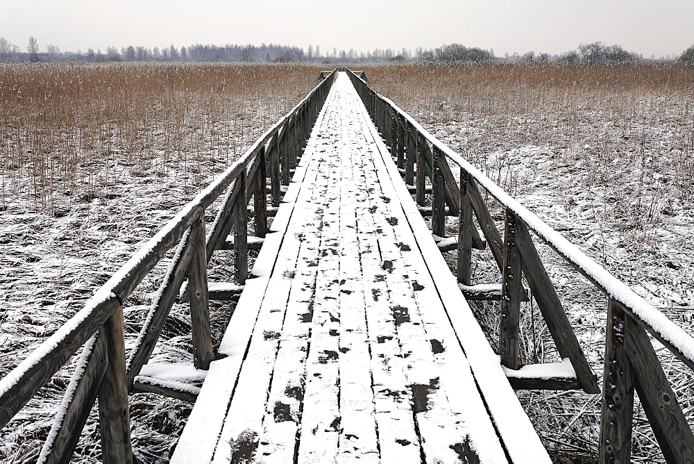 Boardwalk with footprints, Federsee, Bad Buchau, Upper Swabia, Baden-Wuerttemberg, Germany, Europe