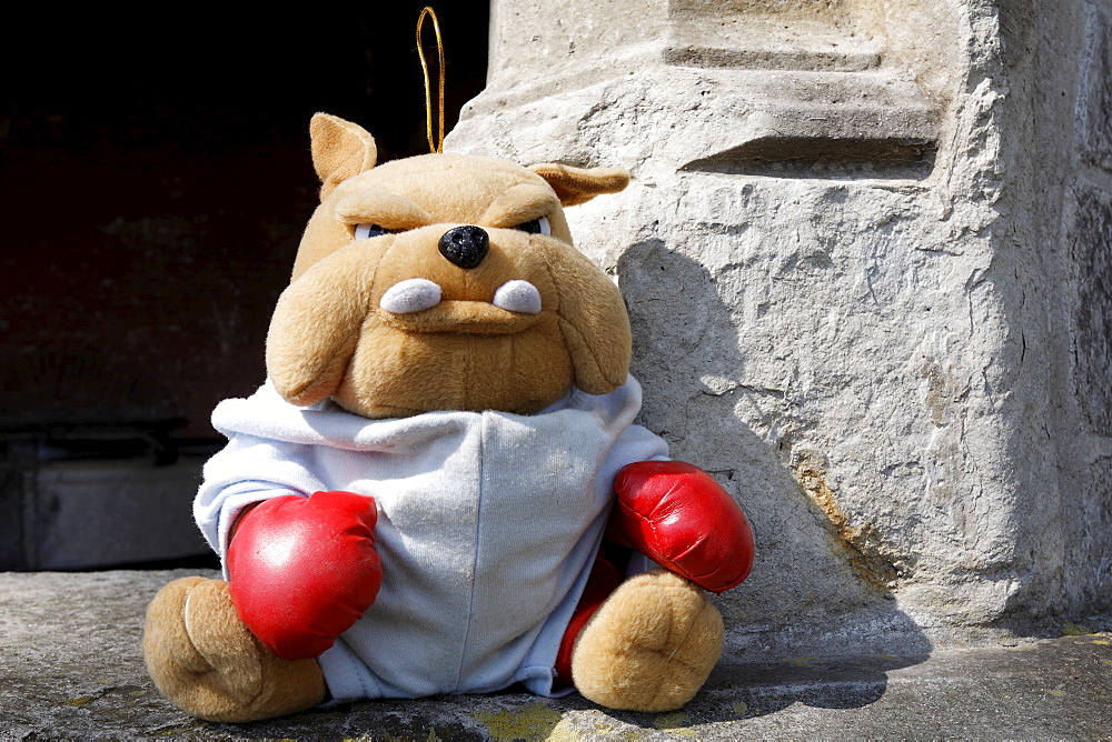 Stuffed toy bulldog wearing red boxing gloves