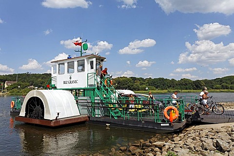 Cyclists leaving the Oder ferry, motorised paddlesteamer, border crossing, Guestebiese, Gozdowice, Neulewin, Oderbruch region, Maerkisch-Oderland district, Brandenburg, Germany, Europe