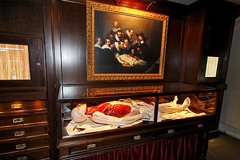 Anatomical model of a human body lying in a showcase, exhibit at German Roentgen Museum, Remscheid-Lennep, NRW, Germany