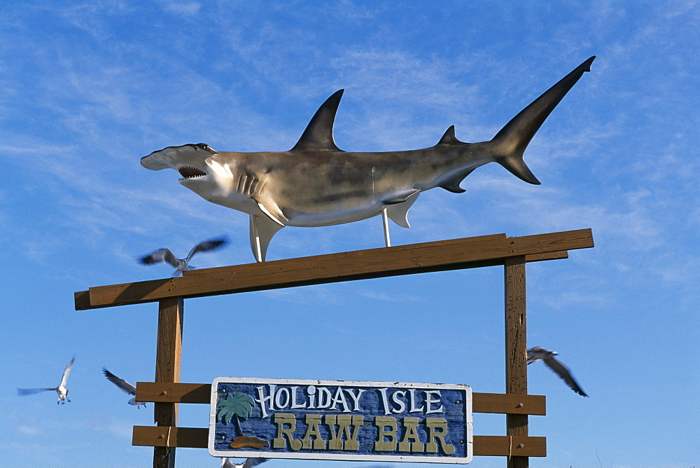 Holiday Isle Resort, decorative hammerhead shark, Key Islamorada, Florida Keys, Florida, USA