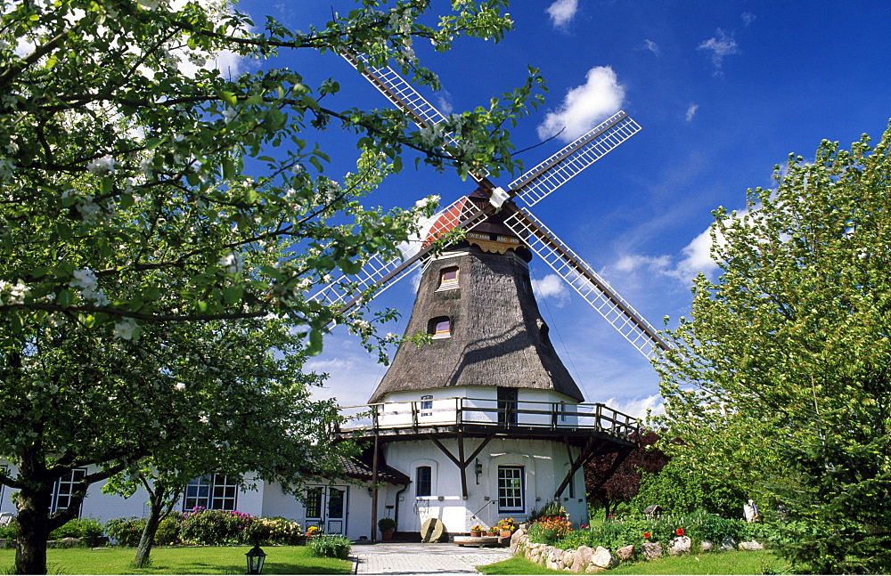 Windmill in Groedersby on the Schlei River, Schleswig-Holstein, Germany