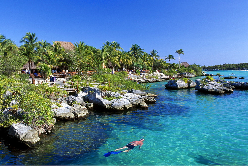 Snorkeler in the Xel-Ha Leisure Park, Riviera Maya River, Yucatan, Mexico, North America