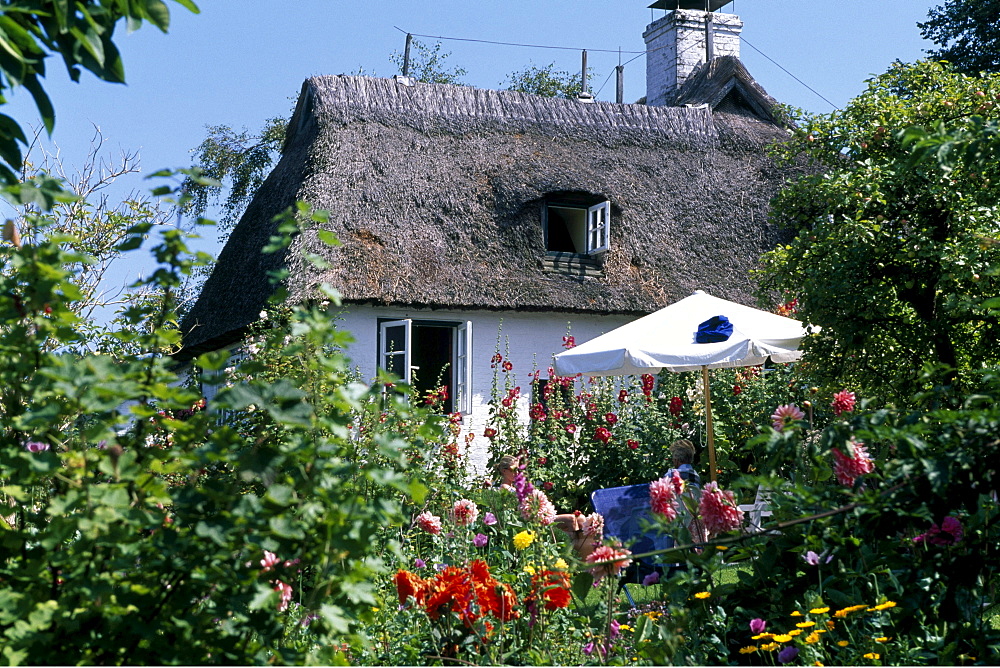 Thatched, thatch-roof house, Sieseby, Schlei, Schleswig-Holstein, Germany, Europe