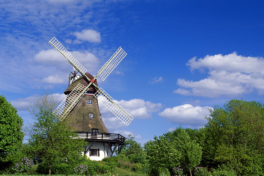 Windmill, Pommerby in the Angeln region on the Schlei River, Schleswig-Holstein, Germany, Europe