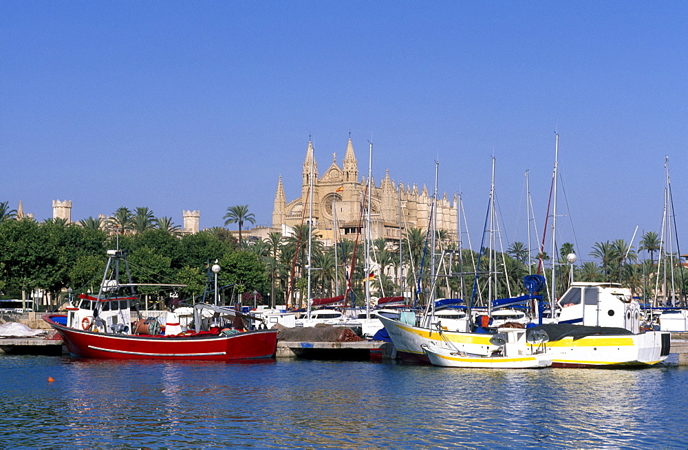 Sailing yachts in the harbour, in front of the cathedral, Palma de Mallorca, Balearic Islands, Spain, Europe