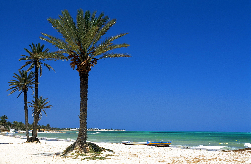 Seguia Beach, Djerba, Tunisia, Africa