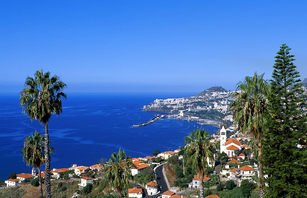 Funchal, Madeira, Portugal, Europe