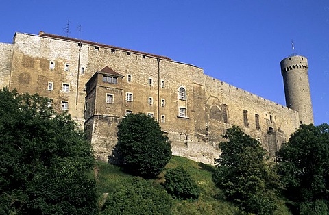 Castle with tower "Pikk Hermann" (Tall Hermann), Tallinn, Estonia