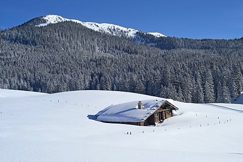 The Alpine hut Traunsteiner Huette on the Winkelmoosalm in the Background mount Duerrnbachhorn 1776 m Upper Bavaria Germany