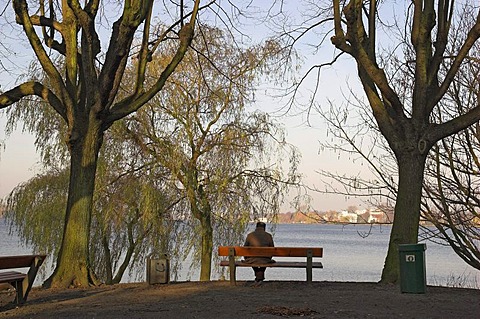 Man sitting on a bench at lake Alster in Hamburg Germany