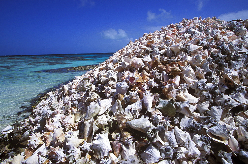 Seashell hill, fishermen's waste on Cayo Crasqui Island, Islas Los Roques, Venezuela, Caribbean