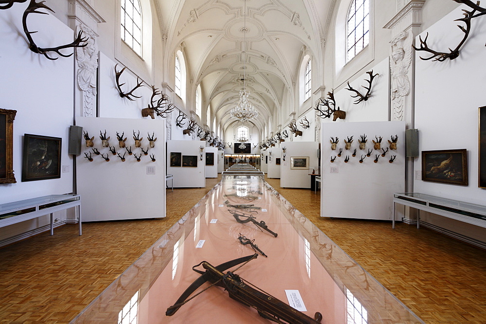 White Hall, Deutsches Jagd- und Fischereimuseum, German Hunting and Fishing Museum in the former Augustinerkirche Church, Munich, Bavaria, Germany