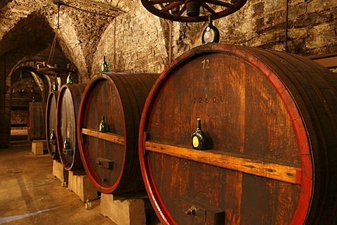 Wine cellar beneath the town hall in Hammelburg, Rhoen, Bavaria, Germany, Europe