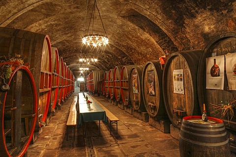 Wine cellar, winemaker's cellar in Red Schloss Palace, Hammelburg, Rhoen Mountains, Lower Franconia, Bavaria, Germany, Europe