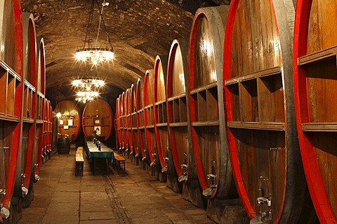 Wine cellar, winemaker's cellar in Red Schloss Palace, Hammelburg, Rhoen Mountains, Lower Franconia, Bavaria, Germany, Europe