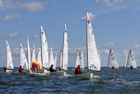 Sailing boats competing in a regatta on Schilksee, Kiel Week 2008, Kiel, Schleswig-Holstein, Germany, Europe