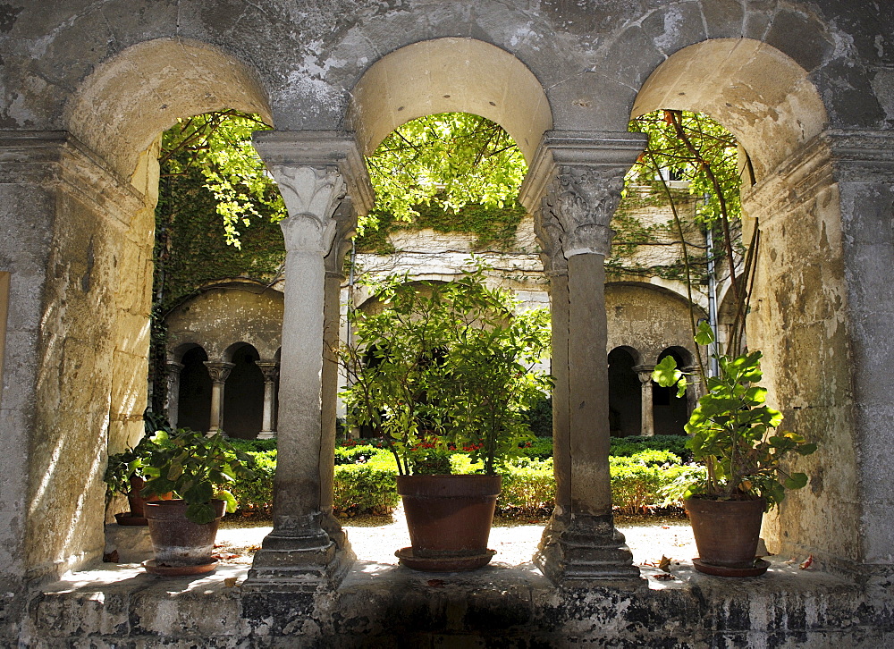 Green courtyard seen through arched stone columns in the priory of St. Paul de Mausole in St. Remy de Provence, France, Europe