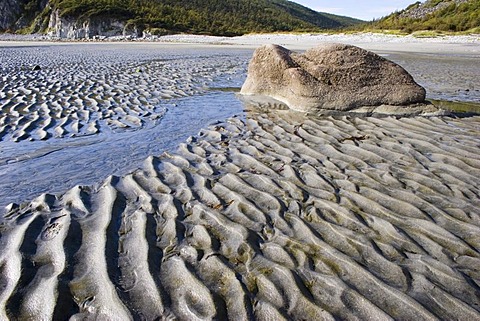 Sea of Okhotsk, Magadan area, Eastern Siberia, Russia