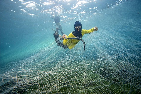 Fishermen catching Pacific needlefish with a net, Philippines