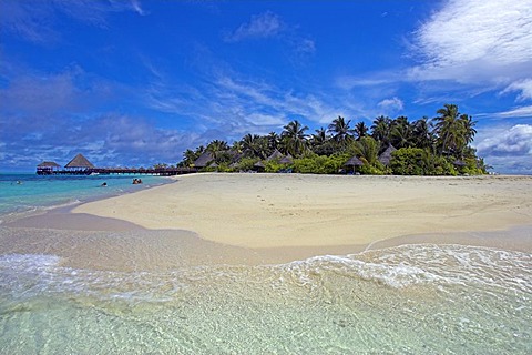 Island with palm trees, Maledives