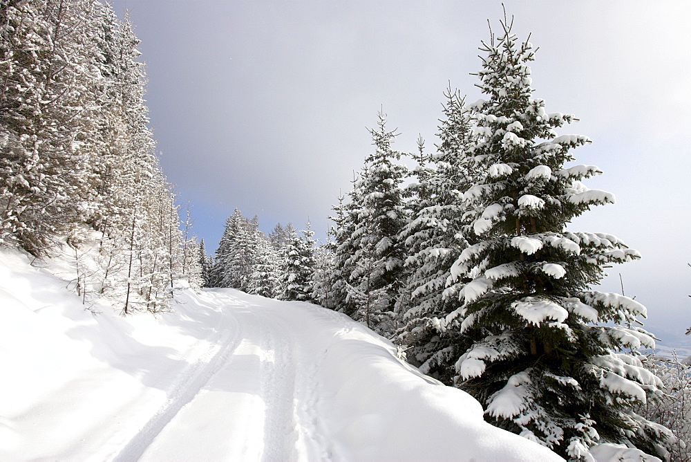 Winter landscape in the mountains, Carinthia, Austria.