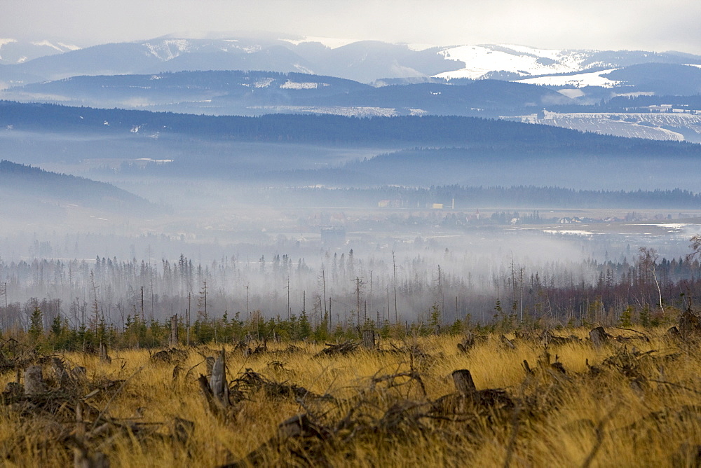 Environmental damage caused by storms and forest fires in 2005, High Tatras, Slovakia, Europe