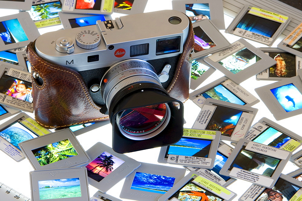 Slides laid out on a light-table, lightbox