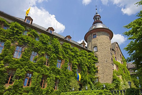 Overgrown facade, Laubach Castle, residence of the count zu Solms-Laubach, Laubach, Hesse, Germany, Europe