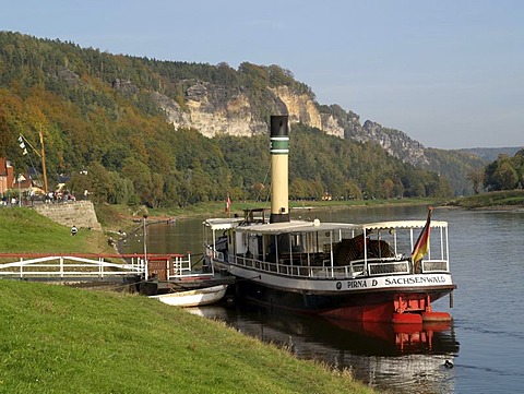 Landscape with Elbe, Wehlen, Saxon Switzerland, Saxony, Germany