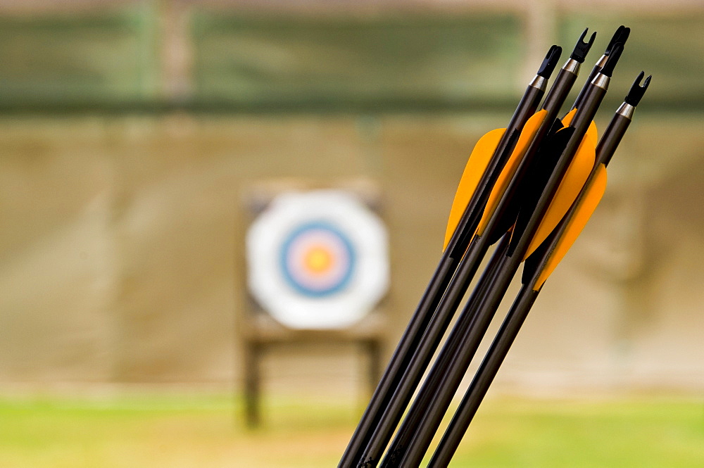 Arrows, outdoor target archery competition