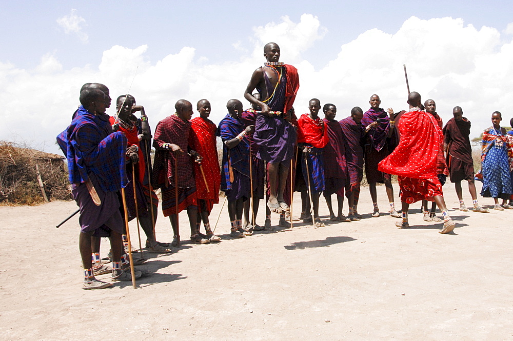 Massai, Massai warriors having a traditional dance, Amboseli national park, Kenya, Africa