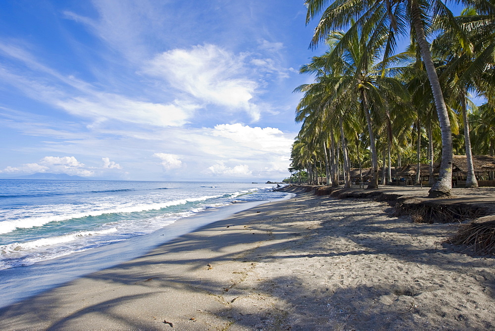 Senggigi Beach and a palm plantation for the production of copra, Lombok Island, Lesser Sunda Islands, Indonesia, Asia