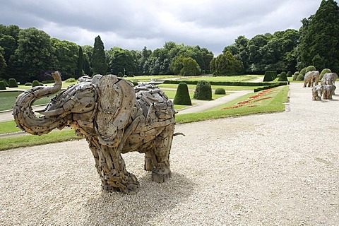 Wooden elephants, Africa Museum, Tervuren, Belgium, Europe