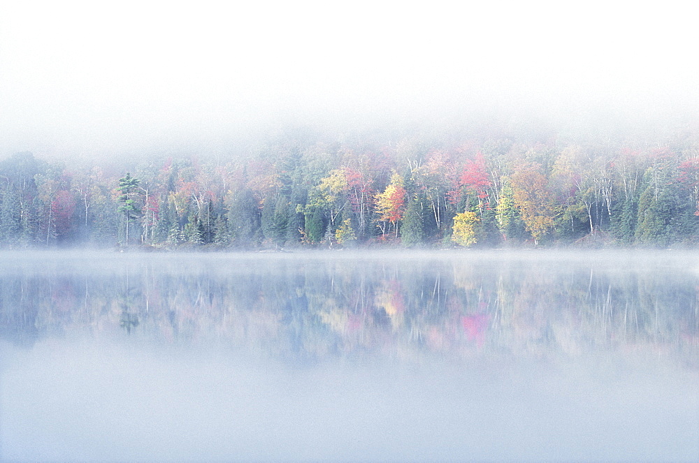 Early morning mist and autumn coloured trees on an island in Lac Bouchard Lake, La Mauricie National Park, Quebec, Eastern Canada