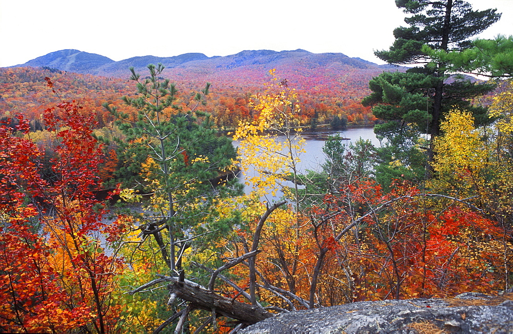 View over autumn coloured leaves to Lac Stukely lake, Indian summer in Mont-Orford National Park, Quebec, Eastern Canada