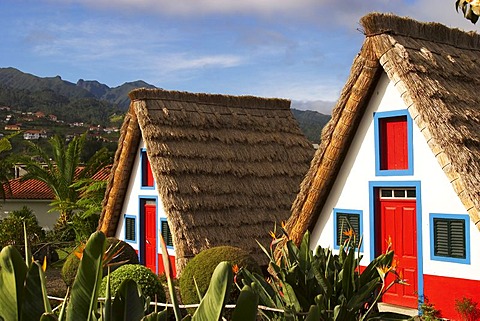 Casas de Colmo in Santana - Traditional Madeira styled thatched houses - Madeira