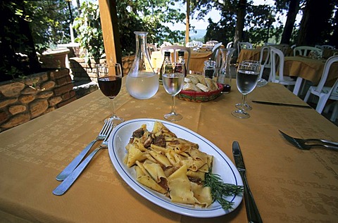 Chianti Trattoria La Capannina Papardelle Tuscany