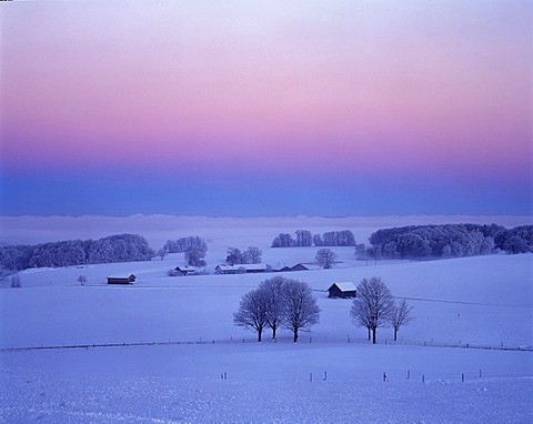 Winter morning Muensing Upper Bavaria Germany