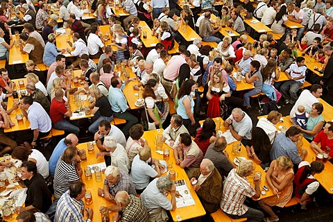 Beer tent at Gaeuboden festival in Straubing, Lower Bavaria, Germany