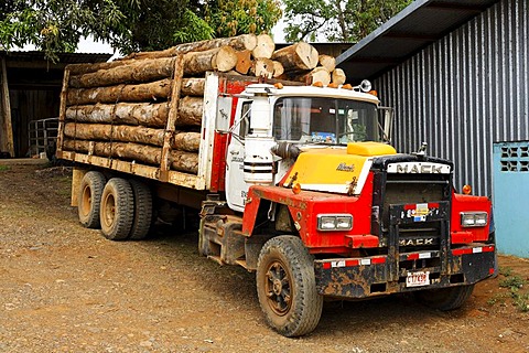 Logging, truck, Costa Rica