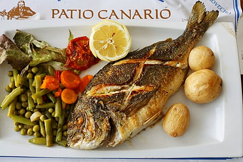 Seabream, Dorada, Restaurant Patio Canario, Puerto de Mogan, Gran Canaria, Spain