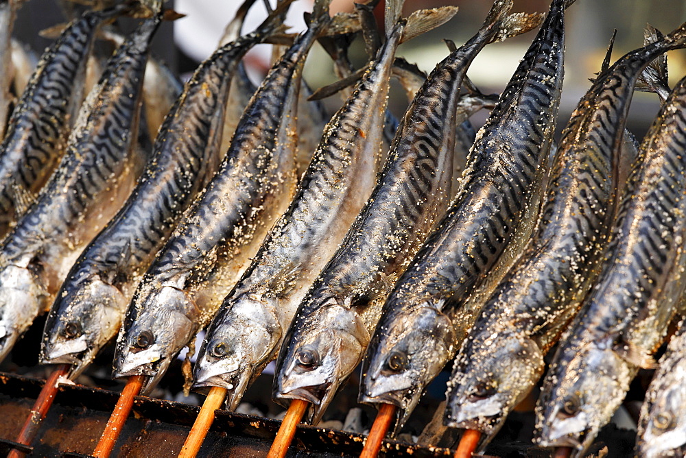 Smoked fish, Oktoberfest, Munich beer festival, Bavaria, Germany