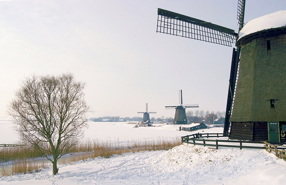 Windmills, near Schermerhorn in winter, north of Holland