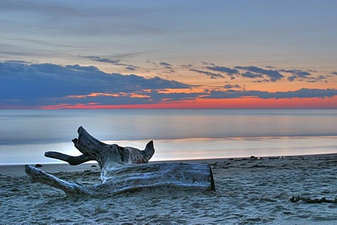 Sunset in December on a beach of the Mediterranean within the borders of the natural protection area of Sabaudia-Circeo.