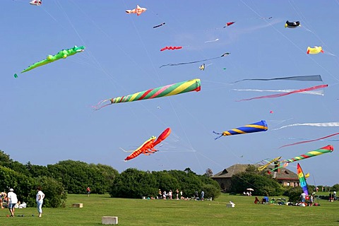 Kite flying on the peninsula near Newport (Rhode Island, USA).