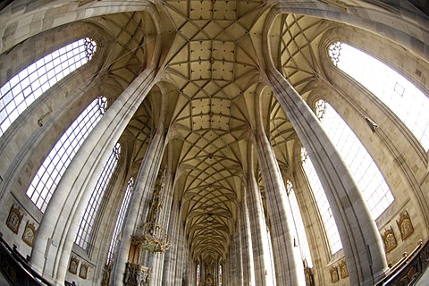 Stellar vault of cathedral St. Georg in Dinkelsbuehl, Central Franconia, Bavaria, Germany